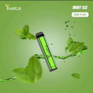 Yuoto xxl Mint Ice 2500puffs