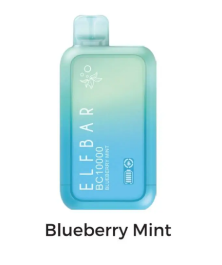 ELFBAR Blueberry Mint 10000pfs 50mg