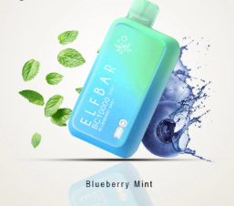 ELFBAR Blueberry mint 10k puffs 20mg